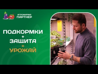 ЭТО ДОЛЖЕН ЗНАТЬ КАЖДЫЙ! Подкормки и защита в зимнем огороде!☘️