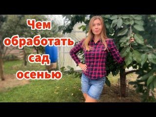 ЧЕМ ОБРАБОТАТЬ ПЛОДОВЫЕ ДЕРЕВЬЯ ОСЕНЬЮ ОТ БОЛЕЗНЕЙ И ВРЕДИТЕЛЕЙ