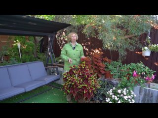 Аминосил витамины для растений