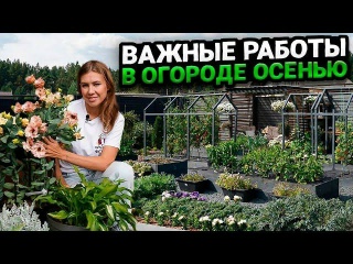 Обработка почвы в огороде осенью, чтобы был урожай без болезней