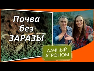 Осторожно Обеззараживание почвы осенью Как обеззаразить почву без проблем