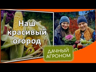ПОШАГОВО Вот почему постоянные грядки так популярны