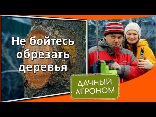Наверное самое простое видео про обрезку сада Правила обрезки плодовых деревьев для начинающих