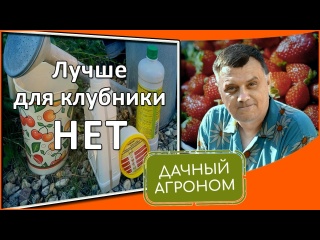 Клубника С ЭТИМИ средствами вы ЗАБУДЕТЕ о болезнях и вредителях