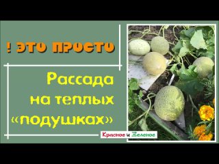 Как высадить овощи в грунт на "теплые подушки"