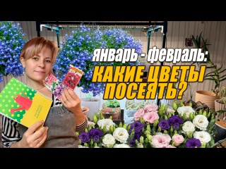 КАКИЕ ЦВЕТЫ САЖАЕМ ЯНВАРЬ-ФЕВРАЛЬ