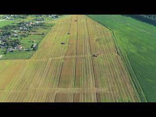 Как выбрать лучшее удобрение для картофеля