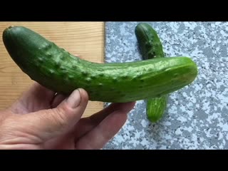 Краткое описание огурцов АПРЕЛЬСКИЙ и TASTY KING.