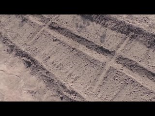 О посеве брюквы