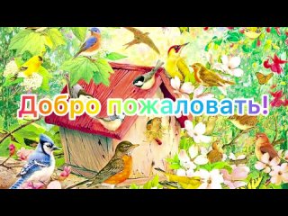 Переехал в новую теплицу! Растения в шоке