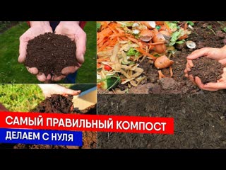 Самый правильный компост - делаем с нуля
