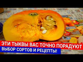 Эти тыквы вас точно порадуют - выбор сортов и рецепты!