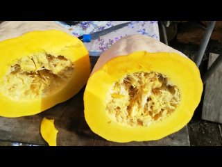 Тыква "Розовый банан". Мои эксперименты!