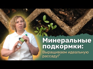 ? Минеральные подкормки для рассады: секреты успешного роста! ?