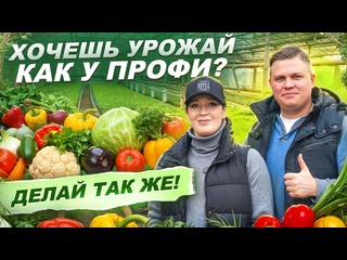 ПОСАДКА РАССАДЫ В ТЕПЛИЦУ: СЕКРЕТЫ БОГАТОГО УРОЖАЯ ОТ СЕМКО