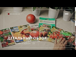 Какие томаты посадить? Большой обзор томатов по итогам 2025 года для юга России, Волгоград.