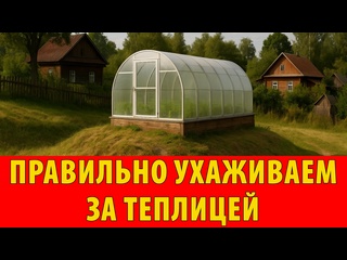 Правильно ухаживаем за теплицей летом 2025 года. Все нюансы