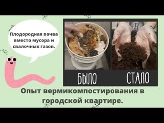 БЕСПЛАТНЫЙ БИОГУМУС - или как организовать верми-ферму
