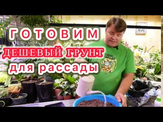 Готовим самый правильный грунт для рассады с минимальными вложениями