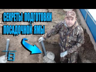 ПРАВИЛЬНАЯ ПОДГОТОВКА ПОСАДОЧНОЙ ЯМЫ ДЛЯ ВИНОГРАДА. ВЫРАЩИВАНИЕ ВИНОГРАДА В ТЕПЛИЦЕ