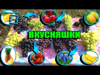 Топ 15 необычных вкусов винограда на нашем винограднике. Северный виноградник 25-05