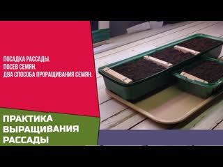 Посадка рассады. Посев семян. Два способа проращивания семян.