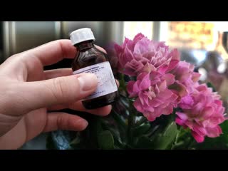 В ДЕКАБРЕ ВСЕ ЦВЕТЫ ПЫШНО ЦВЕТУТ ОТ ЭТОЙ КОПЕЕЧНОЙ ПОДКОРМКИ