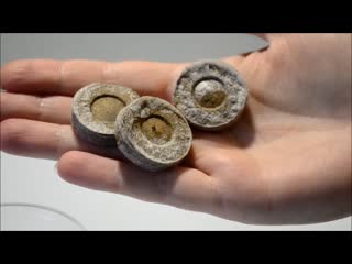 Торфяные таблетки для рассады. Как ими пользоваться