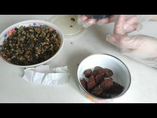 Стратификация семян.Виды стратификации.Скарификация и барботирование семян.mp4