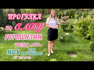 ЦВЕТЕНИЕ ГОРТЕНЗИЙ ? признаки сорта ПОЛАР БИР ? ОБЗОР 25 сортов ? МОХ НА КЛУМБАХ