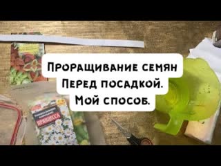Проращивание и замачивание семян перед посадкой.
