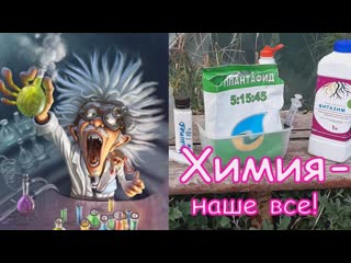 Обработка малины после вырезки побегов. Препараты