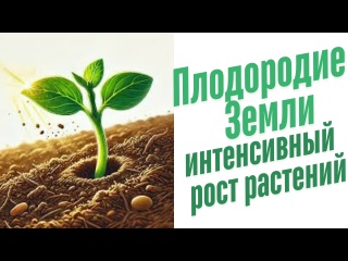 Улучшение плодородия почвы