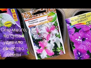 Цветы - начинаю сеять, цены не равны качеству