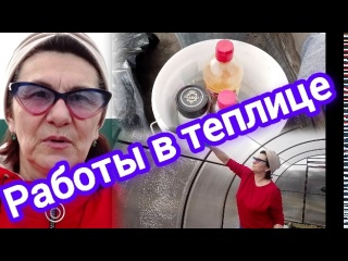 Это важно! Профилактика болезней в теплице весной!