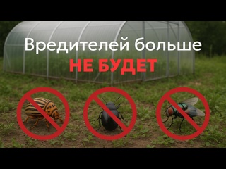 Как побороть вредителей в теплице? ?