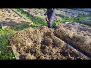 Как правильно использовать мульчу на своем огороде