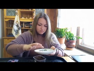 посев цветов на рассаду в конце февраля, передержка барбарисов до высадки в грунт