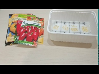 Сею перец так... Мой способ.