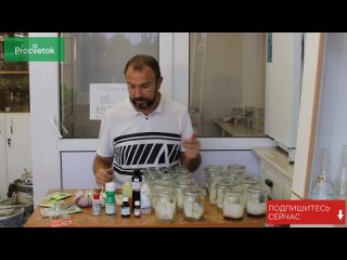 Посадка чеснока осенью (под зиму). Правильная обработка семян чеснока - залог высокого урожая. Посадка чеснока осенью (под зиму). Правильная обработка семян чеснока - залог высокого урожая.