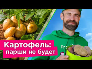 ЧТОБЫ КАРТОФЕЛЬ НЕ БОЛЕЛ ПАРШОЙ, СДЕЛАЙТЕ ТАК! Как избавиться от парши картофеля