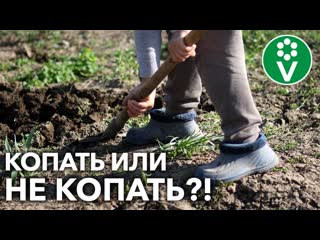 ПОЧВУ ПЕРЕКАПЫВАТЬ ОСЕНЬЮ ИЛИ ОТЛОЖИТЬ НА ВЕСНУ? Разбираем плюсы и минусы перекопки