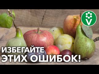 СОСЕДИ ПО САДУ – КАКИЕ РАСТЕНИЯ НЕ ДРУЖАТ МЕЖДУ СОБОЙ? Что с чем НЕЛЬЗЯ сажать рядом?!