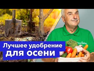 КАКИЕ УДОБРЕНИЯ НУЖНО ОБЯЗАТЕЛЬНО ВНЕСТИ В ПОЧВУ ОСЕНЬЮ