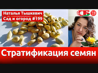 Как вырастить из косточки плодово-ягодную культуру