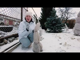 ОШИБКИ ПРИ УКРЫТИИ ХВОЙНЫХ НА ЗИМУ ❄️️О ЧЕМ НЕЛЬЗЯ ЗАБЫТЬ_