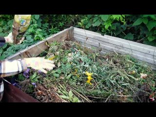 ГОТОВИМ КОМПОСТ БЫСТРО! _ Как ускорить созревание компоста_