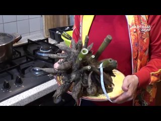 Как хранить георгины. Как парафинировать клубни.\\Садовый мир.