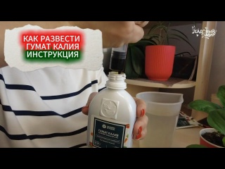 ПОЛИВ ГУМАТОМ КАЛИЯ РАССАДЫ - ЛУЧШАЯ ПОДКОРМКА ДО ВЫСАДКИ РАССАДЫ НА ГРЯДКИ