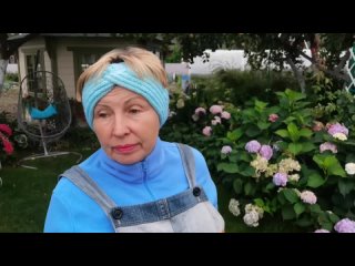 Зачем подкармливать растения осенью? Выбор удобрений